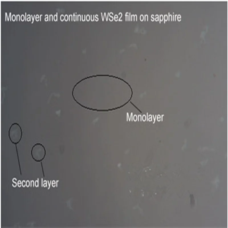 Tungsten Selenide 08: FTO substrate WSe2