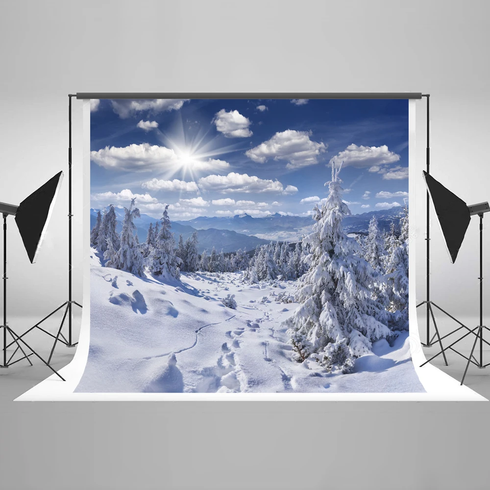 

VinylBDSWinter Frozen 10ft Background Photography Backdrops Trees With Sunlight Photographic Background For Children Photo Prop