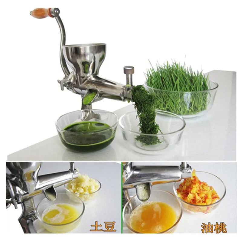 Fruit vegetable juicer apple pear orange cucumber tomato lemon juice extractor wheat grass health slow juicing machine