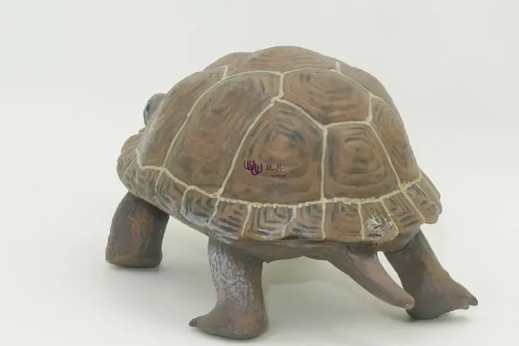 Hot Toy:  Galapagos Giant Tortoise  simulation model  Animals kids  Turtle toys children educational props