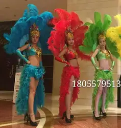 Feather Dance Costumes Samba Dress Opening Show Carnival Women Performance Stage Sexy Suit