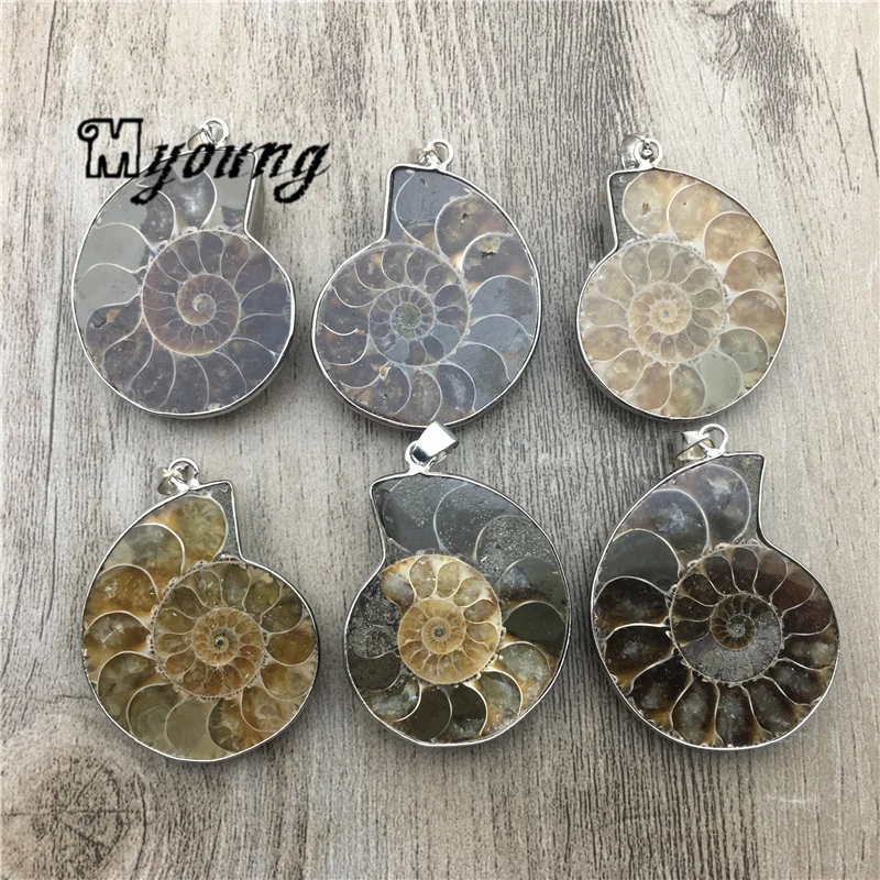 Genuine Ammonite Fossils Pendant Charms,Shell Conch Fossils Pendant With Silver Plated Bail For DIY Jewelry Making  MY1959