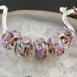 Fashion Jewelry  5pcs  MURANO GLASS BEAD LAMPWORK fit European Charm Bracelet C3374