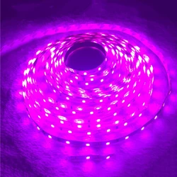 Tira de luces LED Rosa romántica, cinta de decoración flexible, resistente al agua IP65, 3528 SMD, 60LED/M, 5M, DC12V