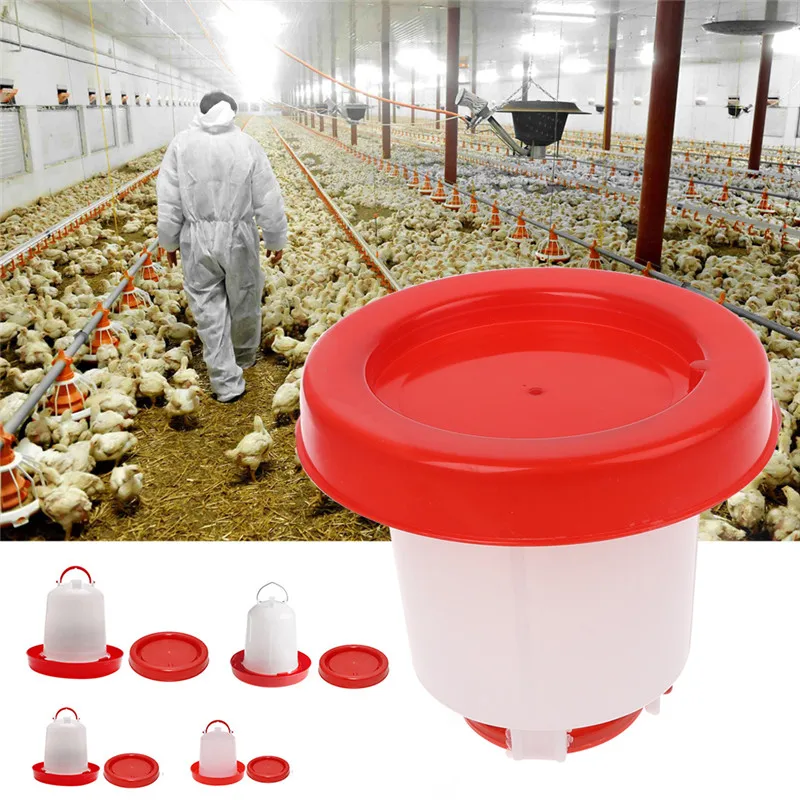 1.5L 2.5L 4L Chook Gà Ăn Uống Gia Cầm Aviary Ăn Tự Động Waterer Người Uống Trang Trại Nhà Gà Uống Dụng Cụ C42