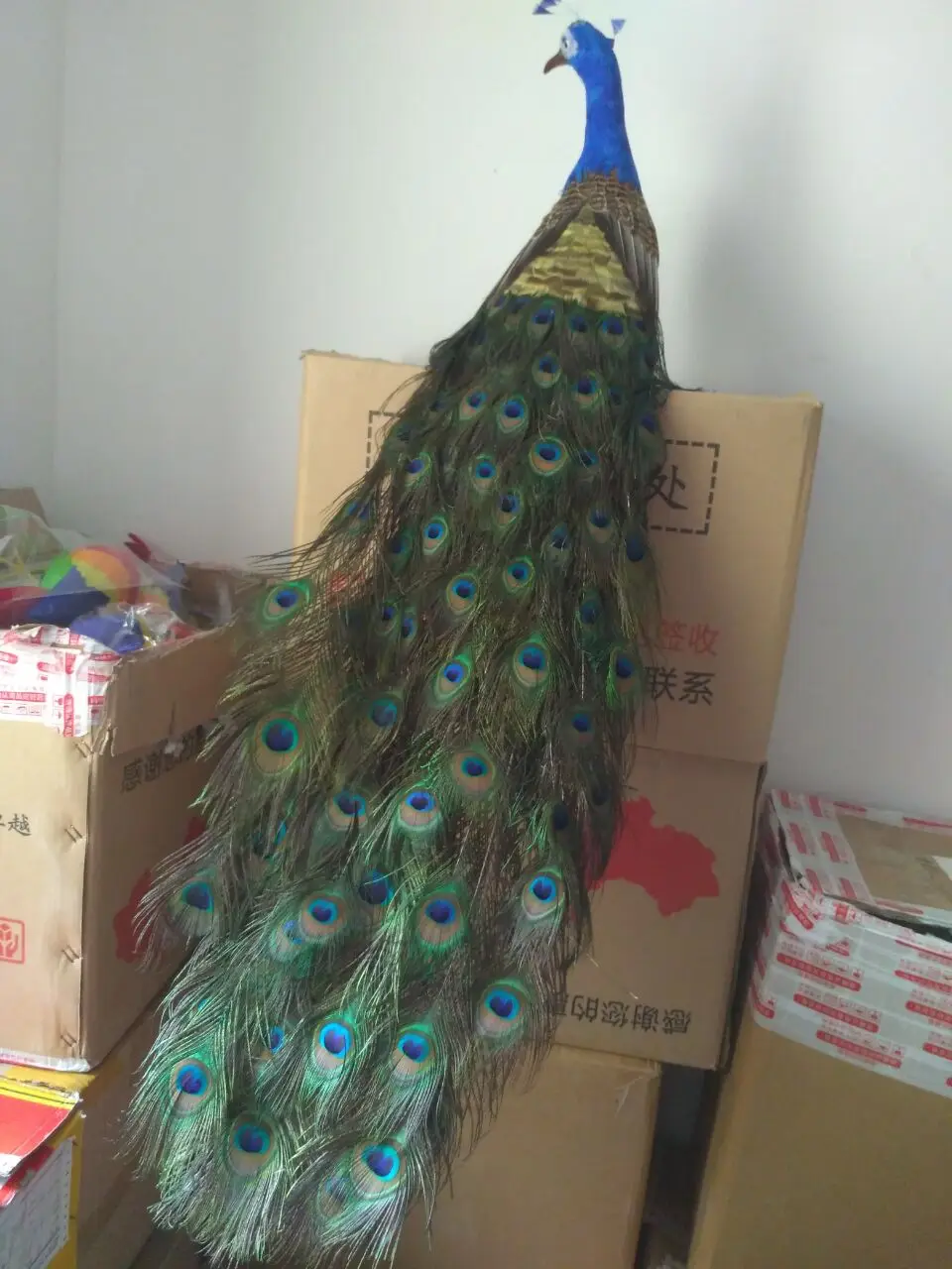 beautiful simulation peacock model foam&feather big peacock doll about 100cm