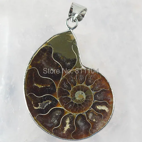 Natural Ammonite stone Bead Jewelry Necklace Pendant Bead 10 pieces/lot