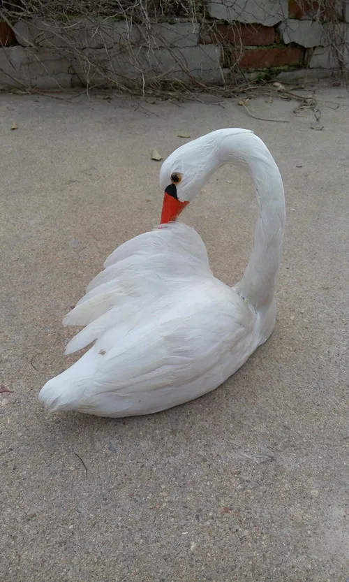 

cute simulation swan toy polyethylene & furs white goose model gift about 21x25cm 2400