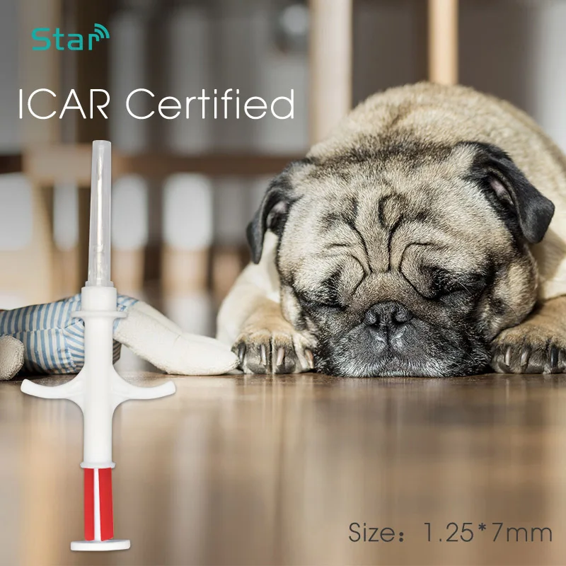 Seringue d'identification en verre pour animaux de compagnie, identification de chien, étiquette de poisson, seringue à puce de suivi, RFID, vétérinaire