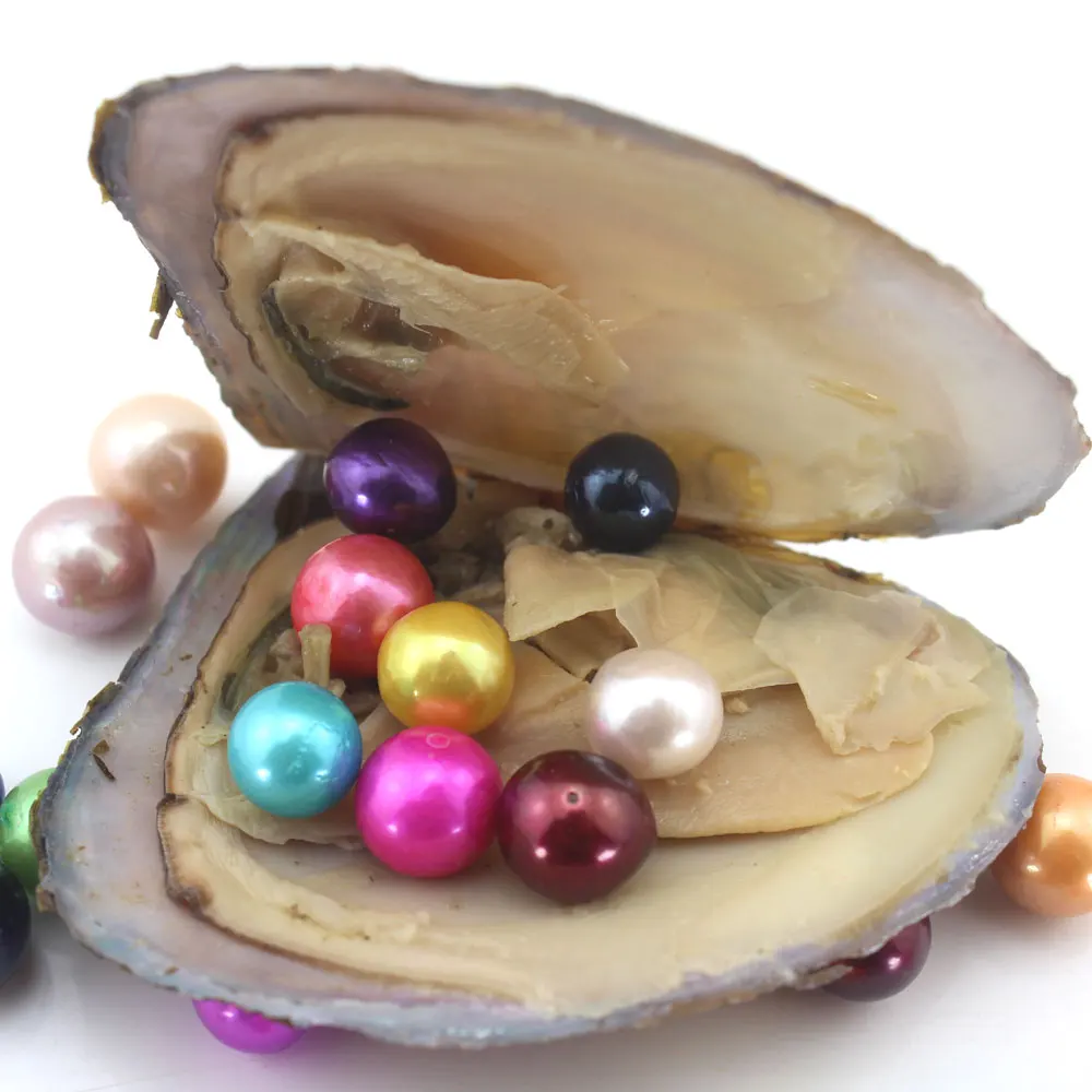 5/10/20Pcs Oysters With Single Edison Round Pearls Beads 9-12mm Big Large Edison Pearls Oysters Vacuum-packed Jewelry DIY EE2021