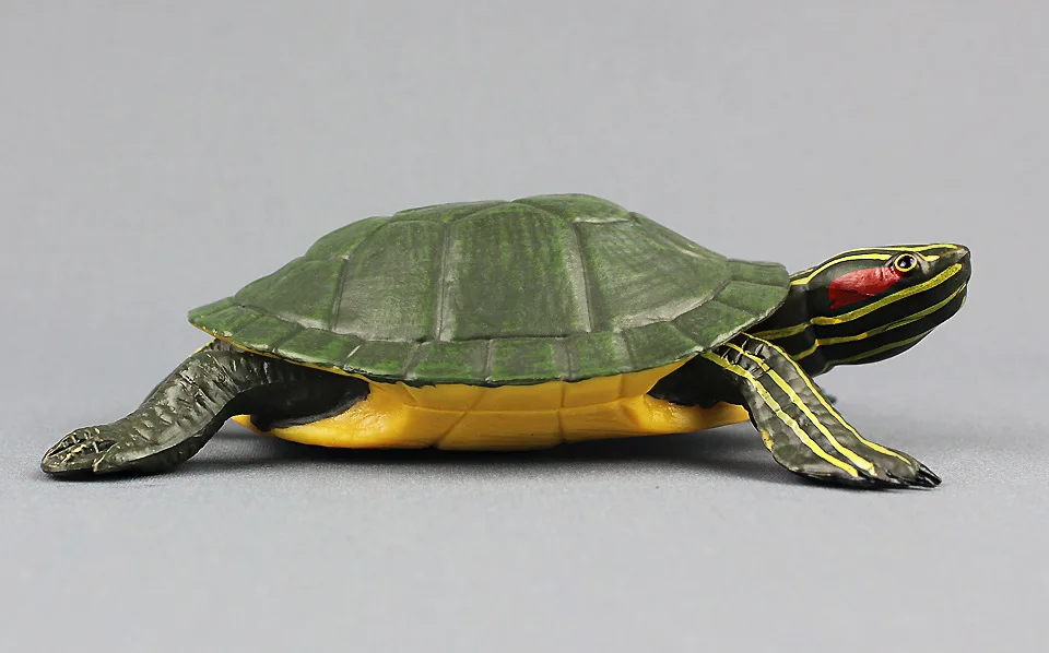 Marine life simulation Red-eared slider Static Plastic toy model 14x9cm Environmental PVC Cognition prop model toy gift w0877