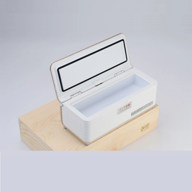 Insuline Koelkast Auto Mini Koelkast Draagbare Reizen Insuline Opbergdoos Insuline Cooler Tassen Interferon Insuline Pen Case Frio