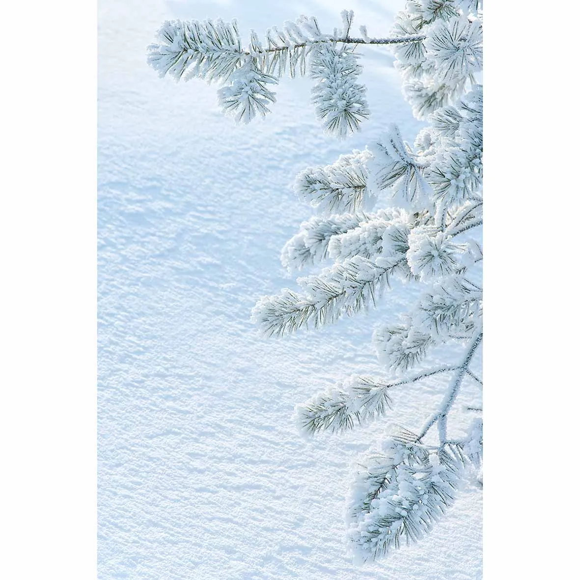 Allenjoy new arrivals photo backdrops Winter cedar trees are pure and beautiful backdrop photocall photo printed excluding stand