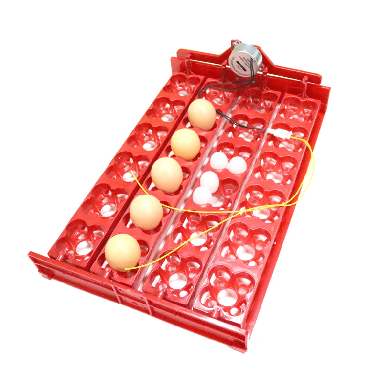 Thumbnail 3 - #8 Compare Automatic Livestock Feeders Before You Buy