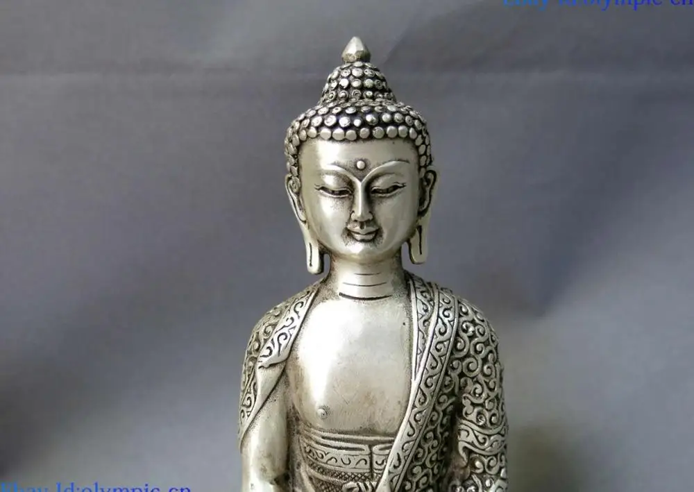 20CM China Silver dragon Feng Shui lucky buddhism Medicine Buddha sculpture Statue