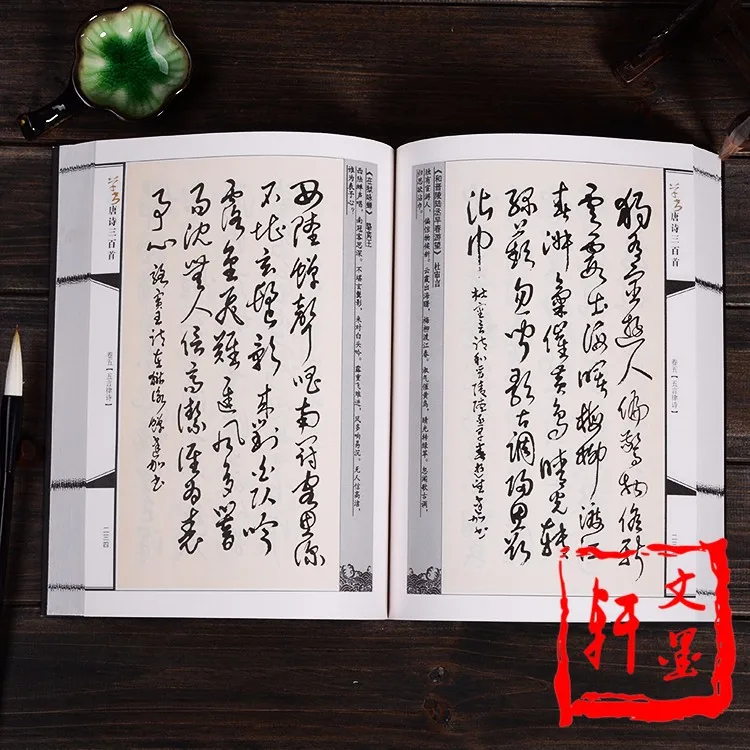 Copybook Chinese Calligraphy, Copy Book For Mo Bi Zi,Cursive Script Cao Shu Chinese Poetry Of The Tang Dynasty Shu Fa 464Pages