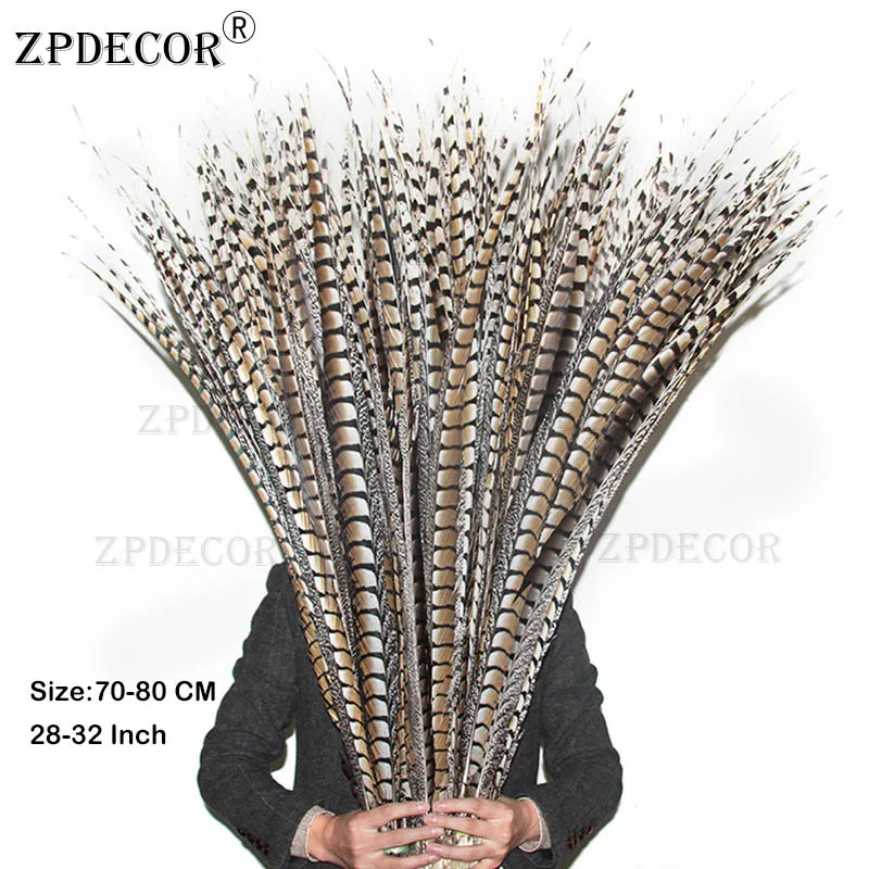 

ZPDECOR 70-80cm 28-32 Inch Lady Amherst Pheasant Feathers Use Arts and Crafts