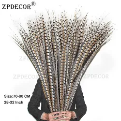 ZPDECOR 70-80cm 28-32 Inch Lady Amherst Pheasant Feathers Use Arts and Crafts