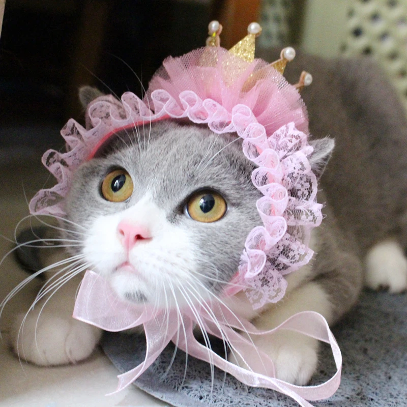 [MPK Cat Headwear] Beautiful Cat Hat, Pet Hair Accessories, Cat Headwear, Pet Birthday Hat, Cat Birthday Crown