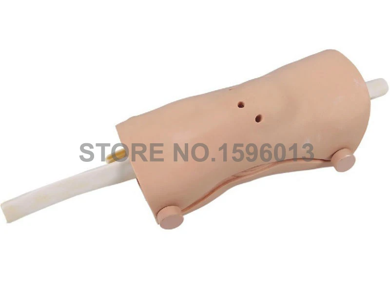 Advanced Knee Arthroscopy Model, Medical Arthroscopic Examination Training Knee Joint Model