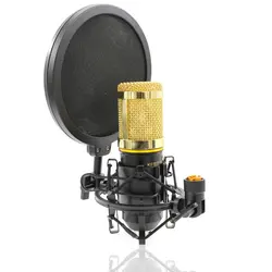 Shock Mount On Mic Pop Filter Bilayer Recording Double Mesh Screen Windscreen For BM 800 900 Condenser Studio microphone