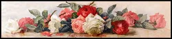Needlework for embroidery X-stitch DIY French DMC High Quality - Counted Cross Stitch Kits 14 ct Oil painting - Roses