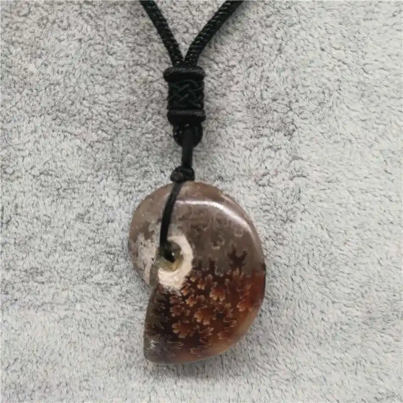 Beautiful Natural Stone Ammonite  Seashell Snail Pendants Ocean Reliquiae Conch Animal Necklaces Statement Men Jewellery