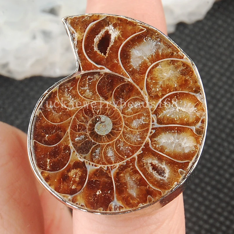 Fashion Jewelry Natural Ammonite Beads Ring Adjust size 7~12