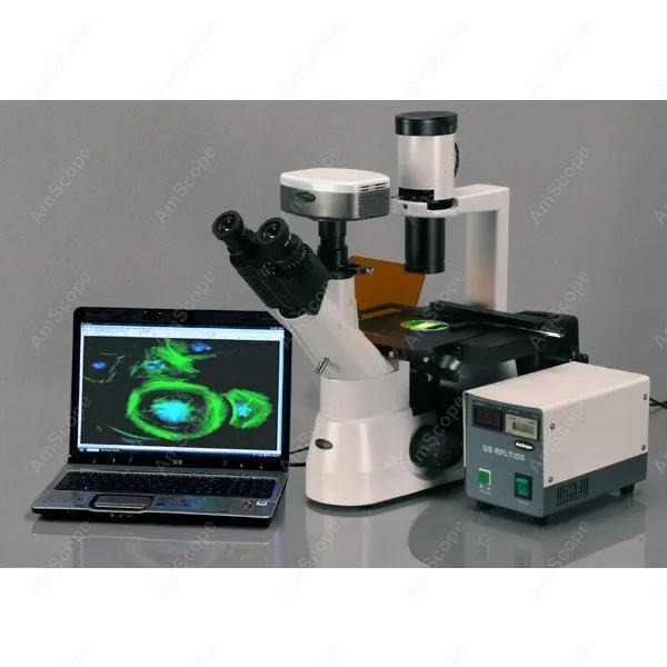 إمدادات ثقافة الفلورسنت المقلوب المجهر-amscope 40x-600x ثقافة مرحلة التباين نيون مقلوب خطة المجهر