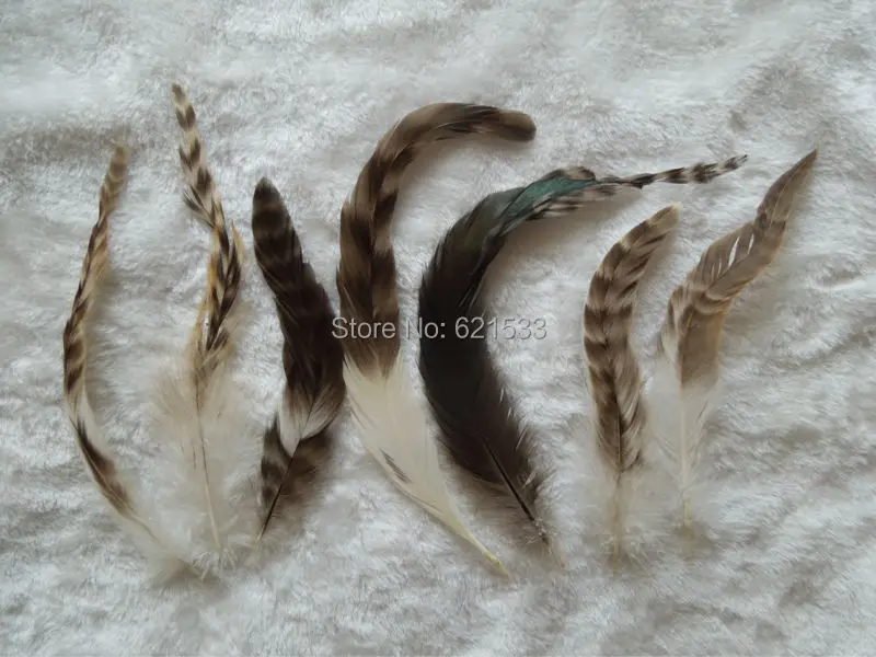 50Pcs/Lot!12-20cm COQUE TAIL FEATHER Loose,Grizzly Striped Nature colour,Perfect for earrings,hair pieces and bridal creations.