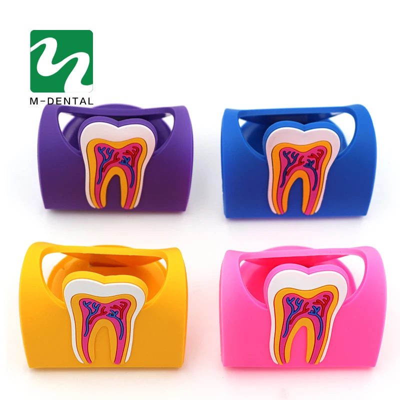 1pc Dentist Gift Cute Card Holder For Dental Clinic Colorful Rubber Teeth Molar Shape Phone Card Name Storage Holder