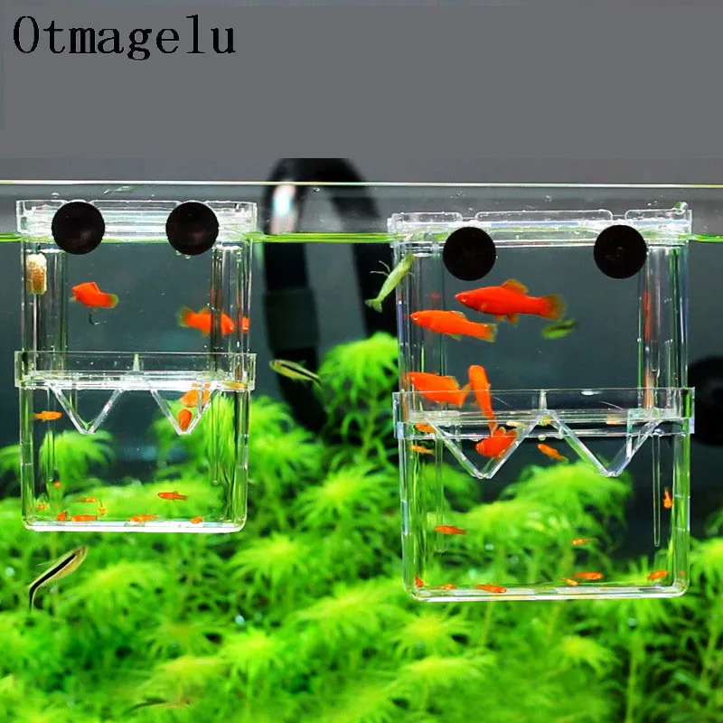 Mini Fish Breeding Isolation Box Fish Tank Aquarium Breeder Box Double Holes Betta Fish Hatching Incubator Aquarium Fish Bowl