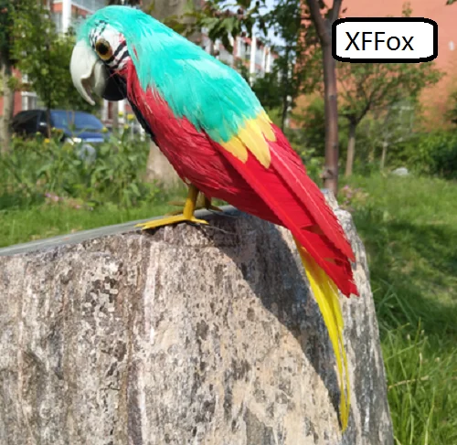 cute real life green&red parrot model foam&feather parrot bird gift about 30cm xf0117