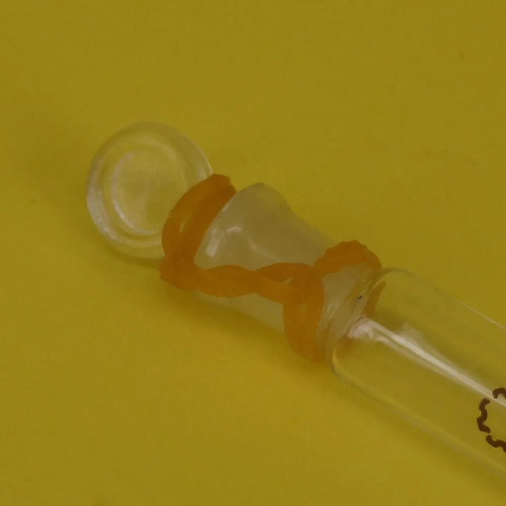 5ml Absolvierte Linie Lab Klar Glas Reagenzglas Runde Bottom mit Stopper Glaswaren