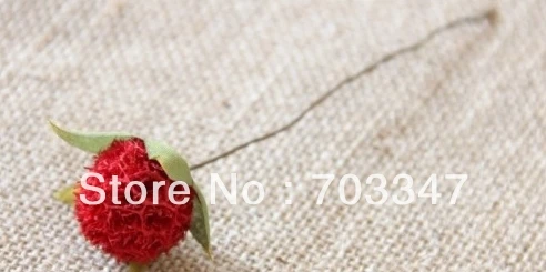 New Arrival !!!!  (72pcs/lot) Pretty 2.5cm  Single Dried Flower Stem DIY Craft