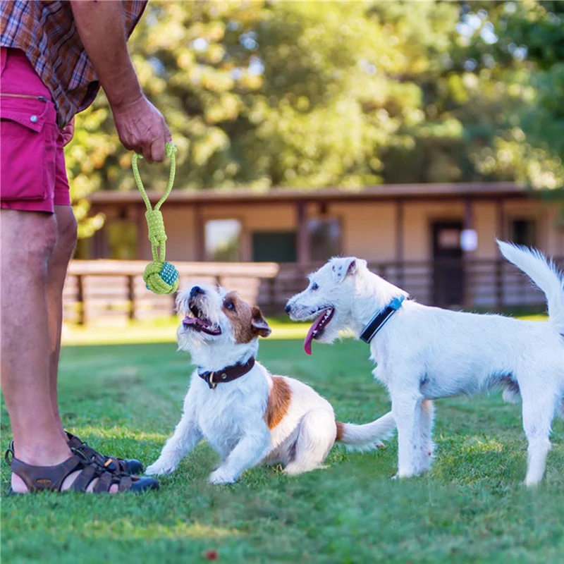 Dog chewing cotton rope training toy knot interactive dog toy outdoor teeth cleaning bulldog dog pug toy