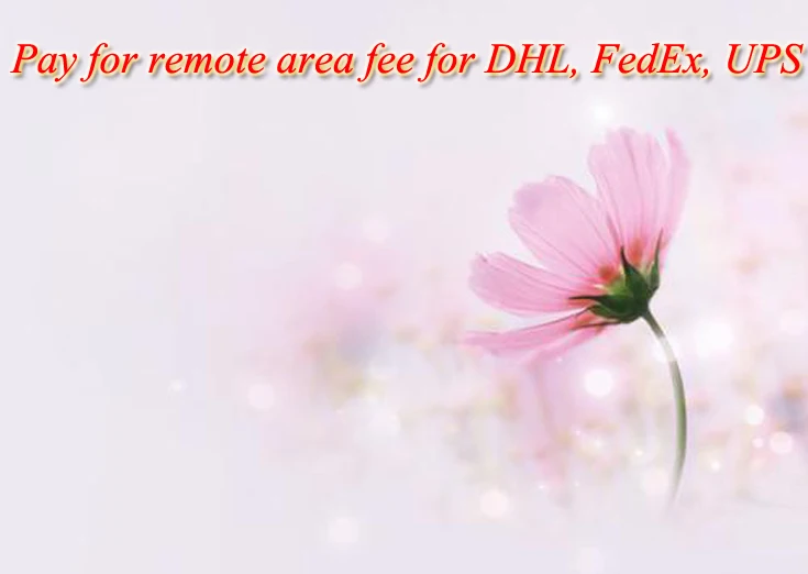 

Pay for remote area fee for DHL, FedEx, UPS