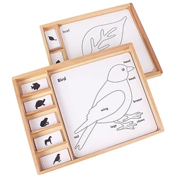 Montessori Botany Puzzles Activity Set Animals Plants Card PVC Material Wooden Box Baby English Games Toys for Children Training
