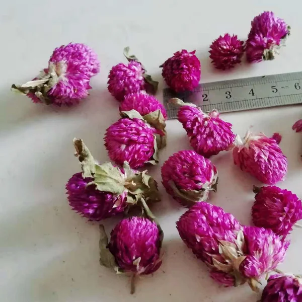 20 stks Gedroogde Bewaarde Bloem paars Gomphrena Globosa Voor Bruiloft Thuis Hotel Decoratie DIY Boeket Project Accessoire