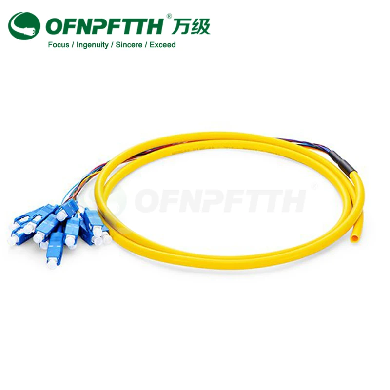 SC Fiber Optic Pigtail 12 cores Singlemode Bundle Pigtail 3m