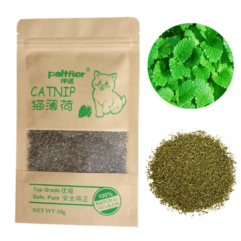 Organic Cat Catnip 100% Natural Cattle Grass Cat Mint Leaves 10g Menthol Flavor Funny Cat Training Treats Toys Cats Supplies