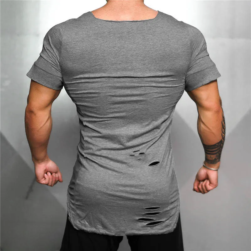 Rashgard Summer Cotton Gym Shirt Sport Tshirt Men Short Sleeve Running Shirt Men Workout Training Top Tees Fitness Sport T-shirt