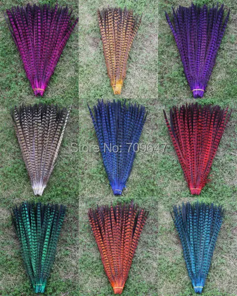 Plumes,5Pieces-16-18