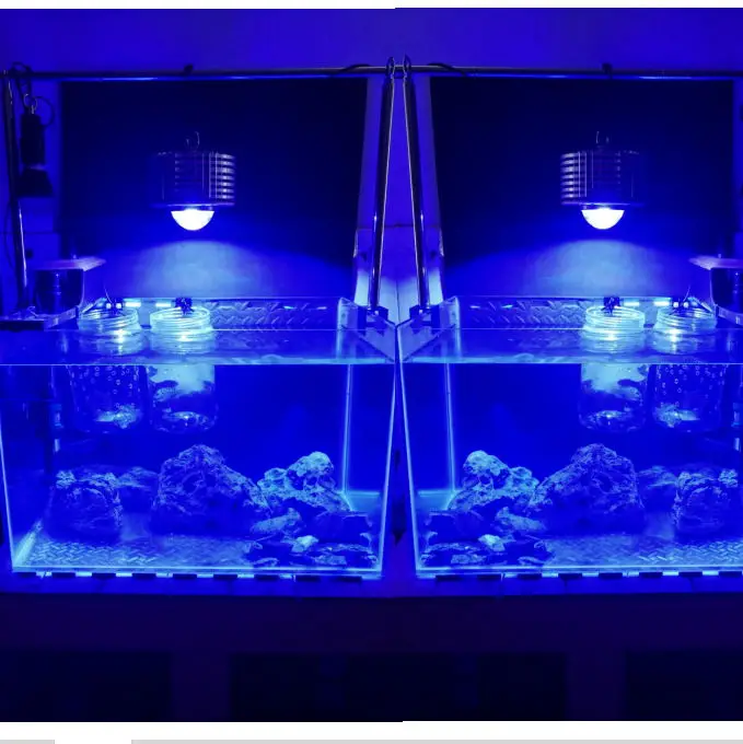 customize colors 50W CREE LED Grow Light for Plants Hydroponics Aquarium marine lamp for Coral Reefs Fish