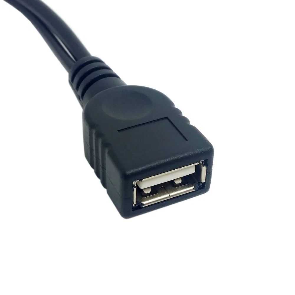 Zihan BK USB 2.0 Female A to Dual A Male Extra Power Data Y Cable for 2.5