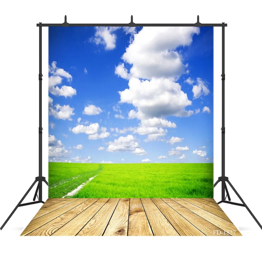 Blue Sky Photography Backdrop Grass Wooden Floor Background For Photo Shoot Props Child Vinyl Cloth Background Photo Studio