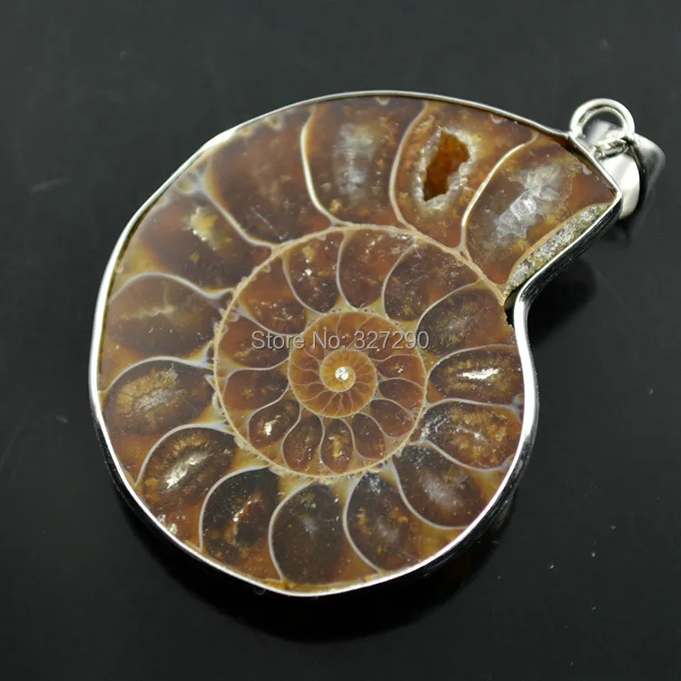 1pc Natural Ammonite Snail Shell Healing Stone Pendants For Men and Women Jewelry