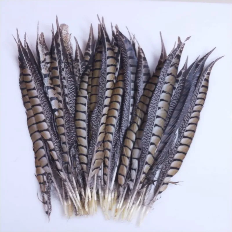 10pcs 30-35cm / 12-14\'\' long real natural amherst pheasant feather tails for home party table decoration centerpiece jewelry