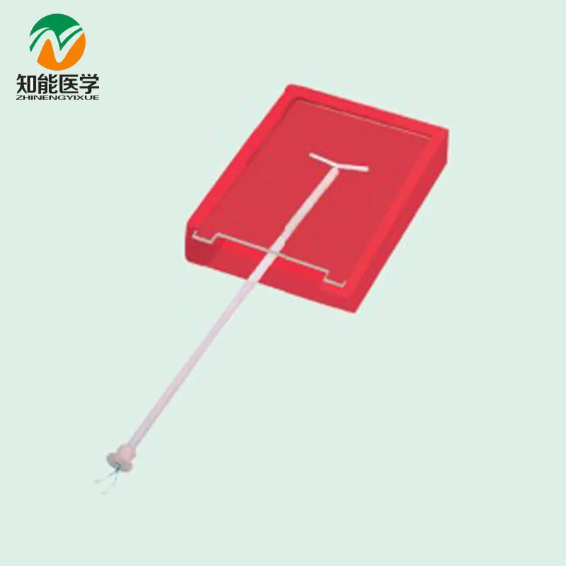 

Chinon Advanced Medical Anatomy Uterus Intrauterine Contraceptive IUD Training Model Medicine Science Student Teaching BIX-F9F