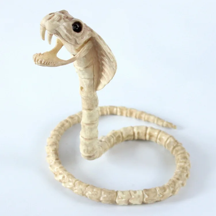 

Skeleton Cobra Snake Animal Skeleton Bones for Horror Halloween Party Home Decor Decoration Accessories